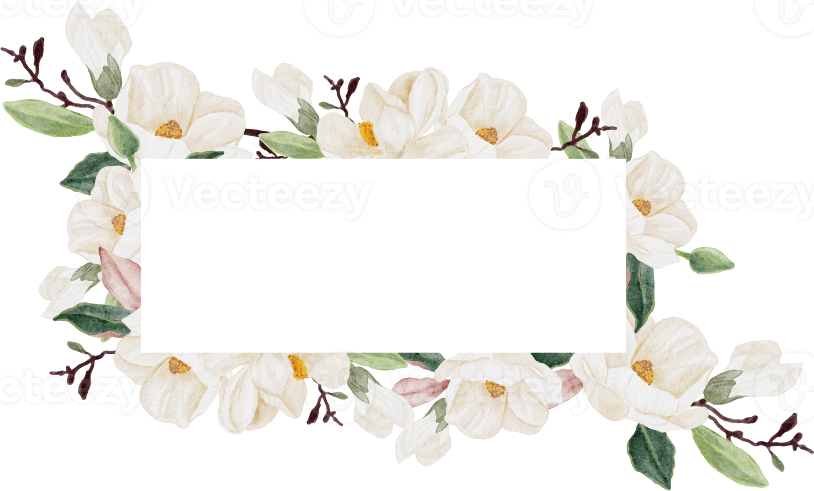 watercolor white magnolia flower branch bouquet square banner background png