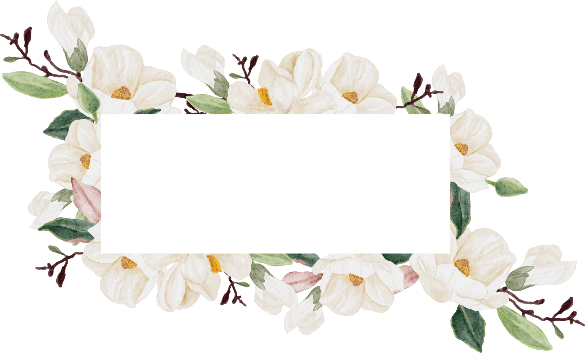watercolor white magnolia flower branch bouquet square banner