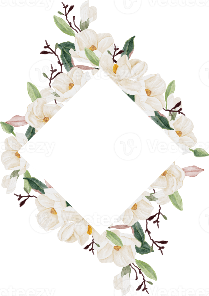 watercolor white magnolia flower branch bouquet square banner background png