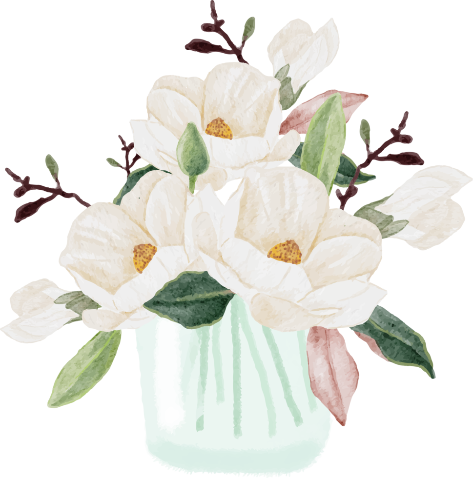 watercolor white magnolia blooming flower branch bouquet in glass vase clipart png