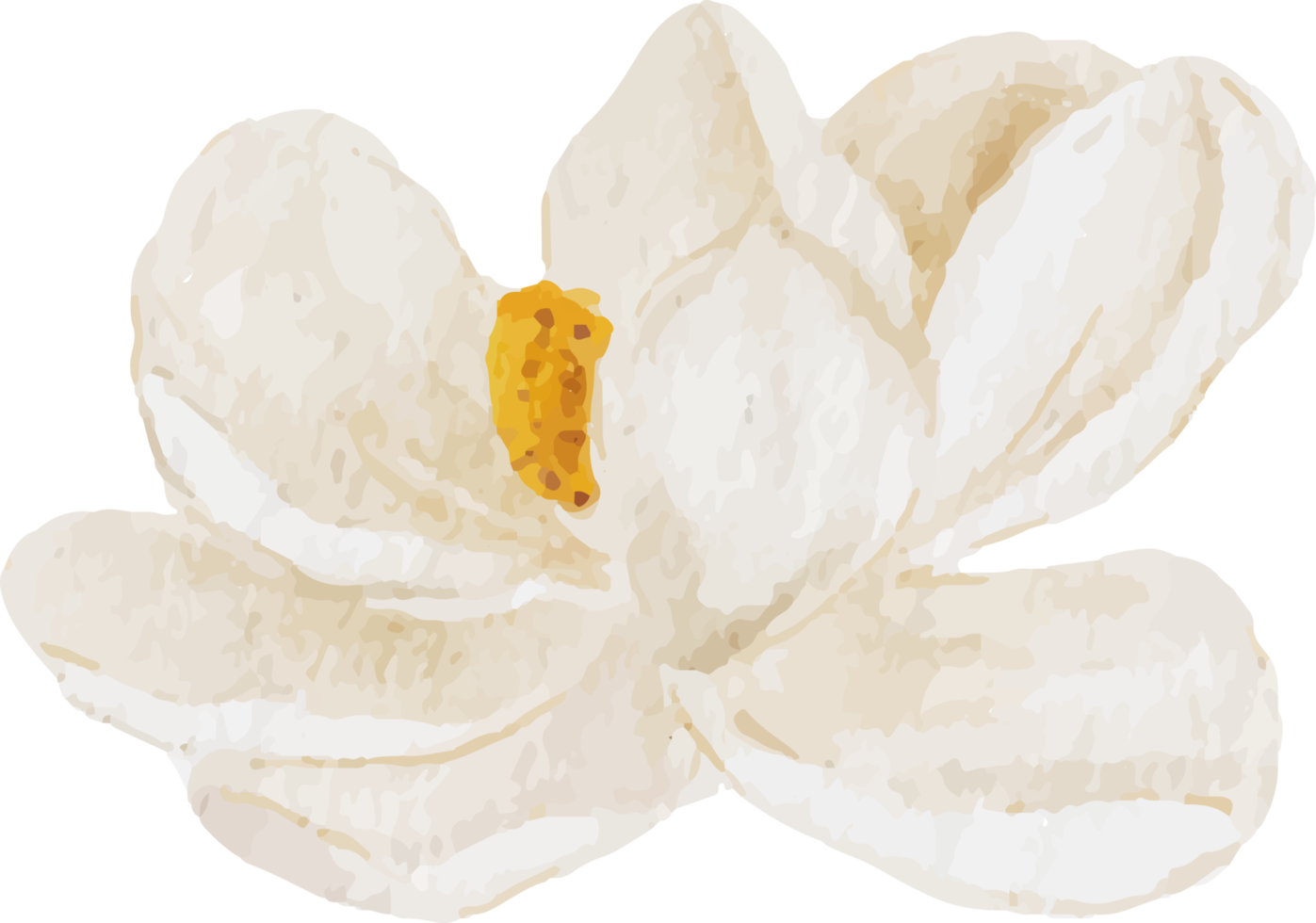 watercolor white magnolia flower and leaf bouquet elements png