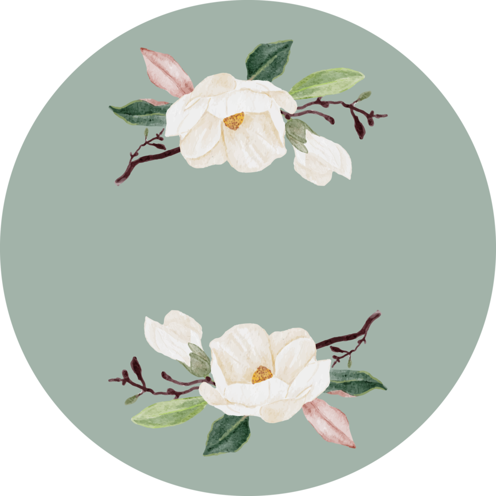 akvarell vit magnolia tack dekalsamling png