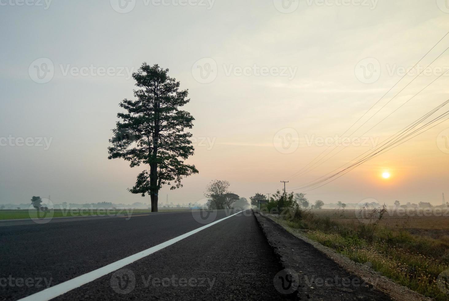 The empty asphalt road along the paddy field in the early morning with the light fog. photo