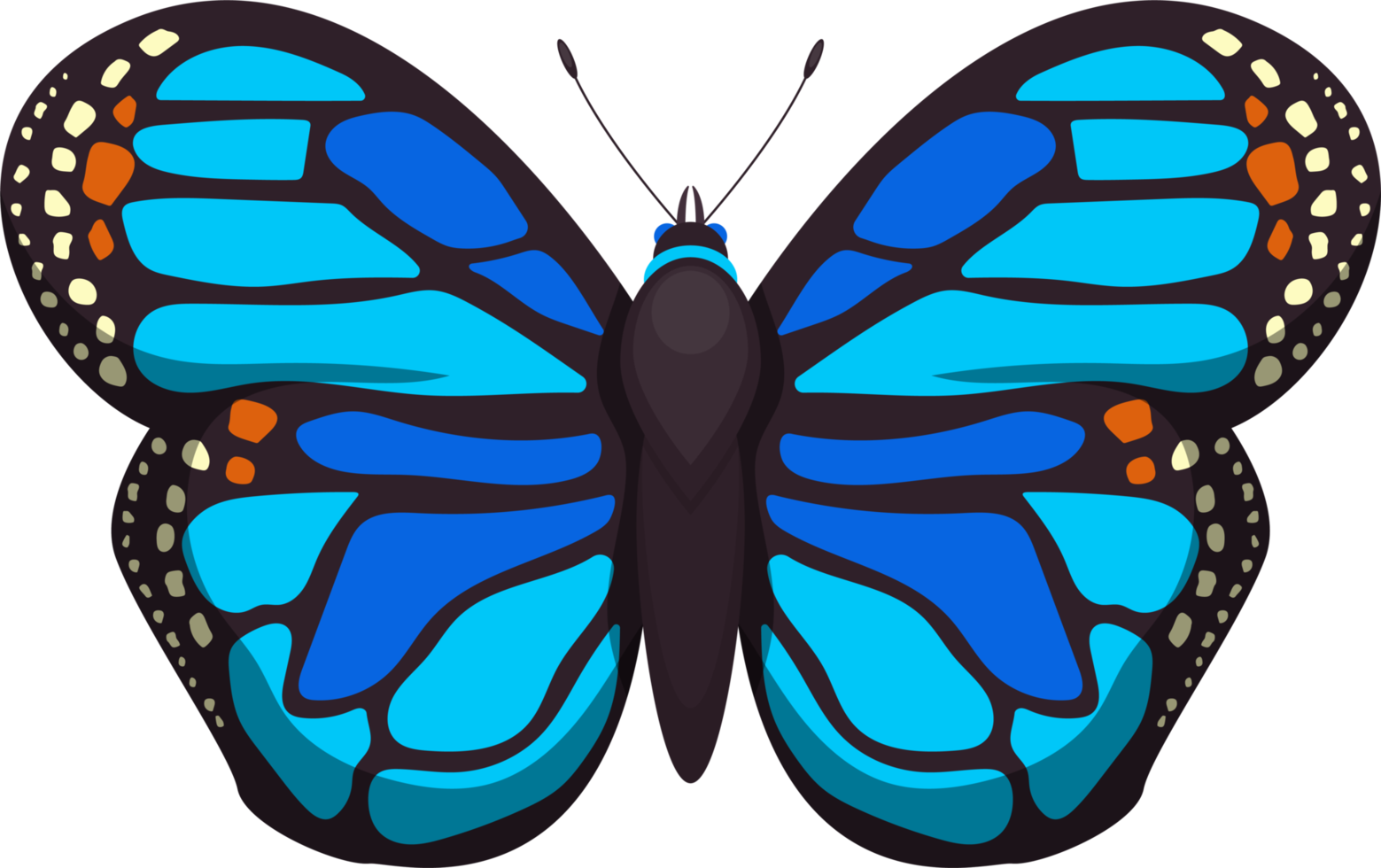 ilustração de design de clipart de borboleta png