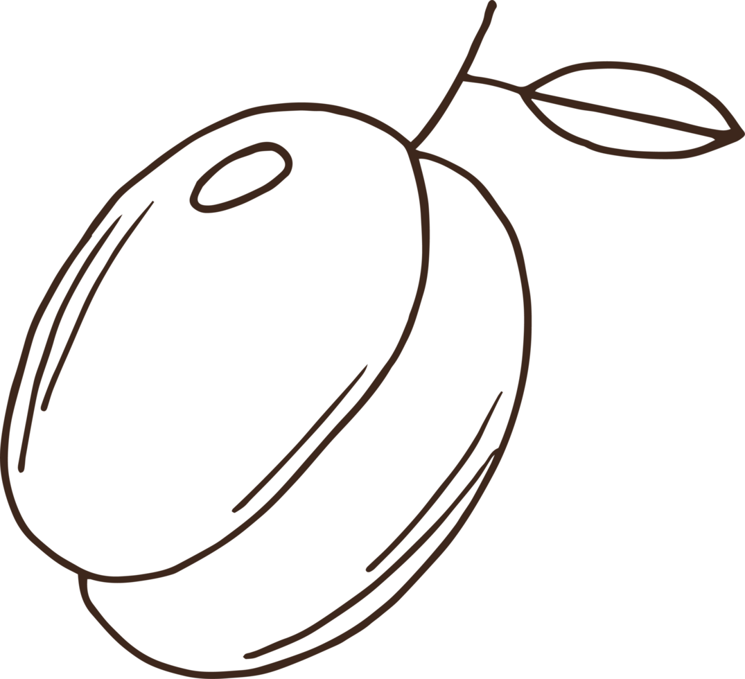 Hand drawn fruits clipart design illustration png