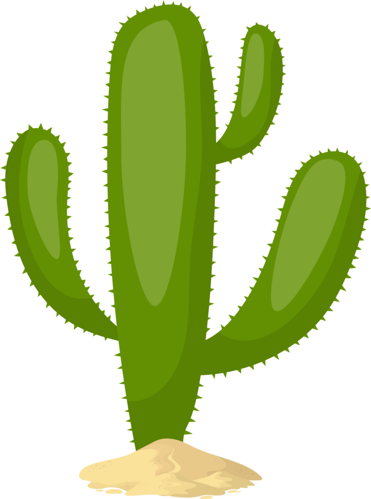 Ilustración de diseño de imágenes prediseñadas de cactus png