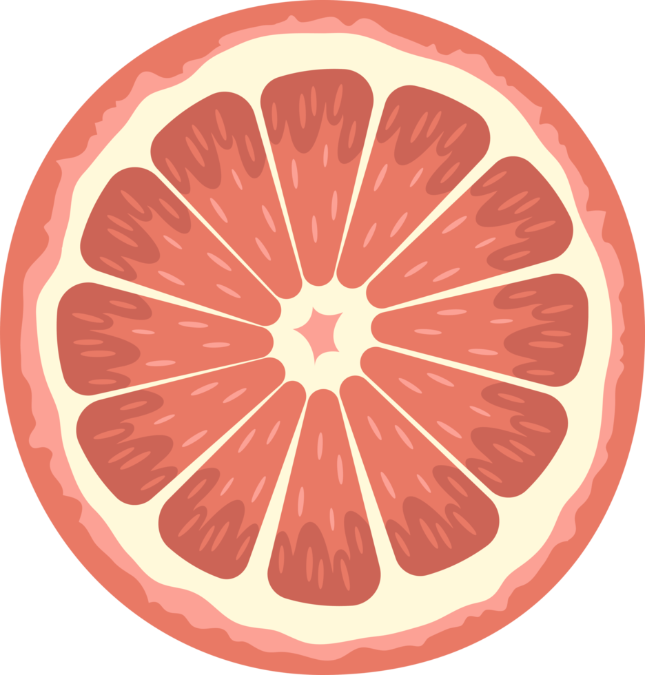 Citrus clipart design illustration png