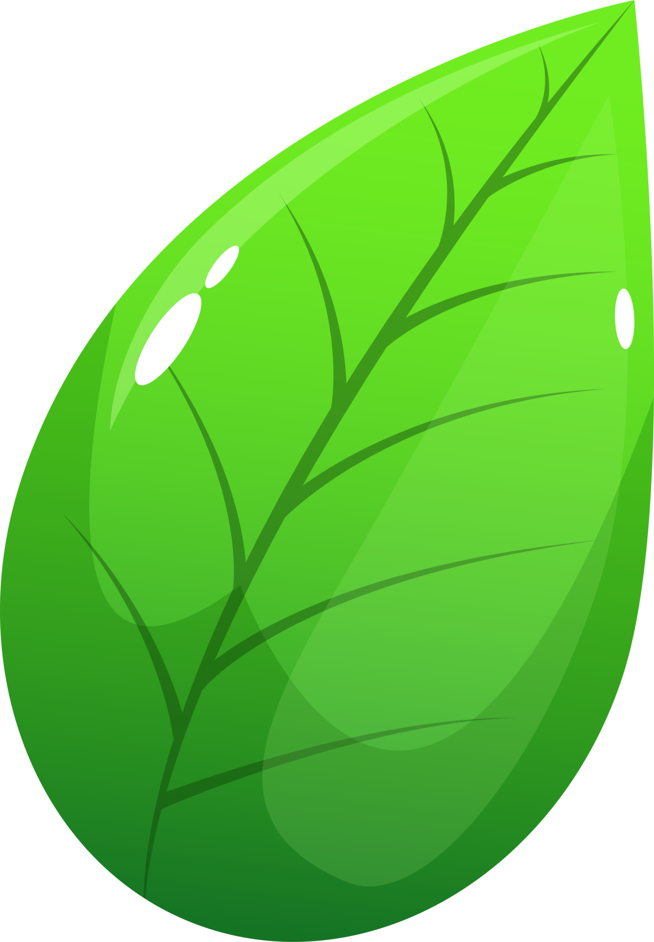 Realistic leaf clipart design illustration 9391760 PNG