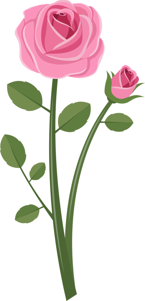 Rose elements clipart design illustration png