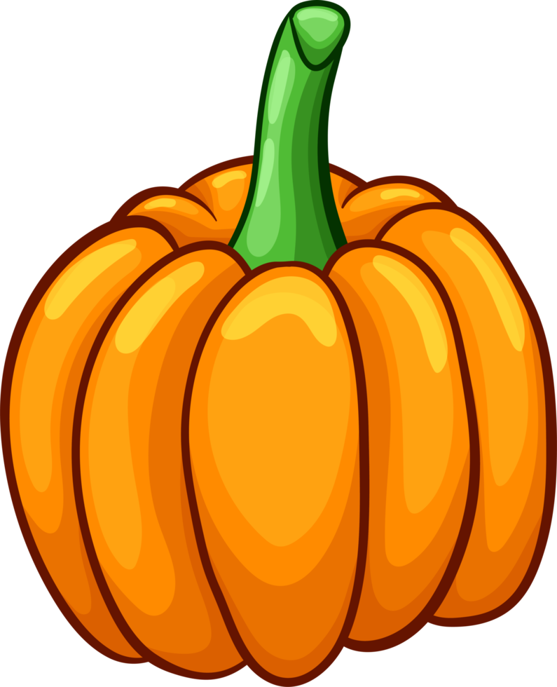 pumpa clipart design illustration png