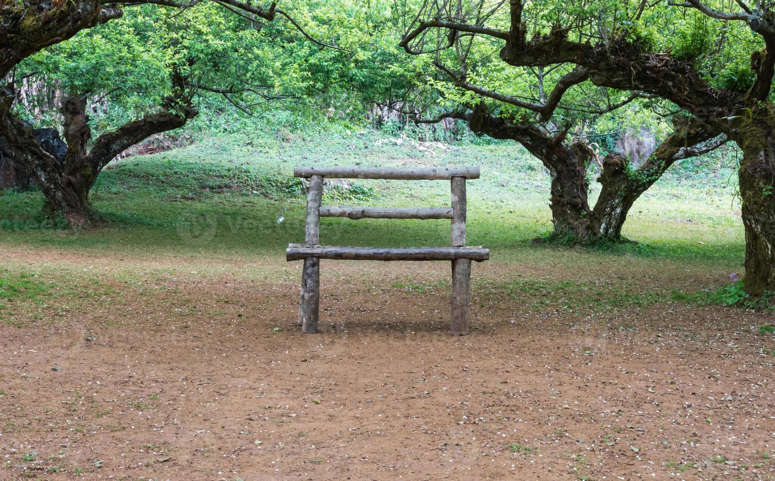 The lonely wooden bench photo