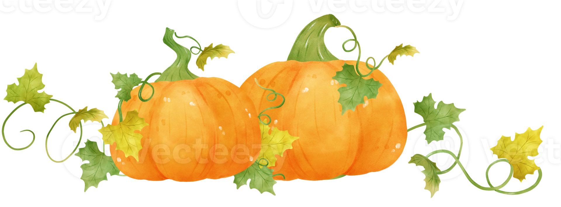 cute watercolor Halloween autumn pumpkins with face and vines cartoon hand drawn png