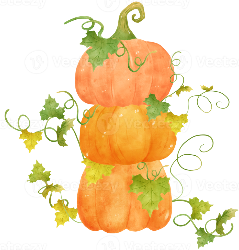 cute watercolor Halloween autumn pumpkins with face and vines cartoon hand drawn png