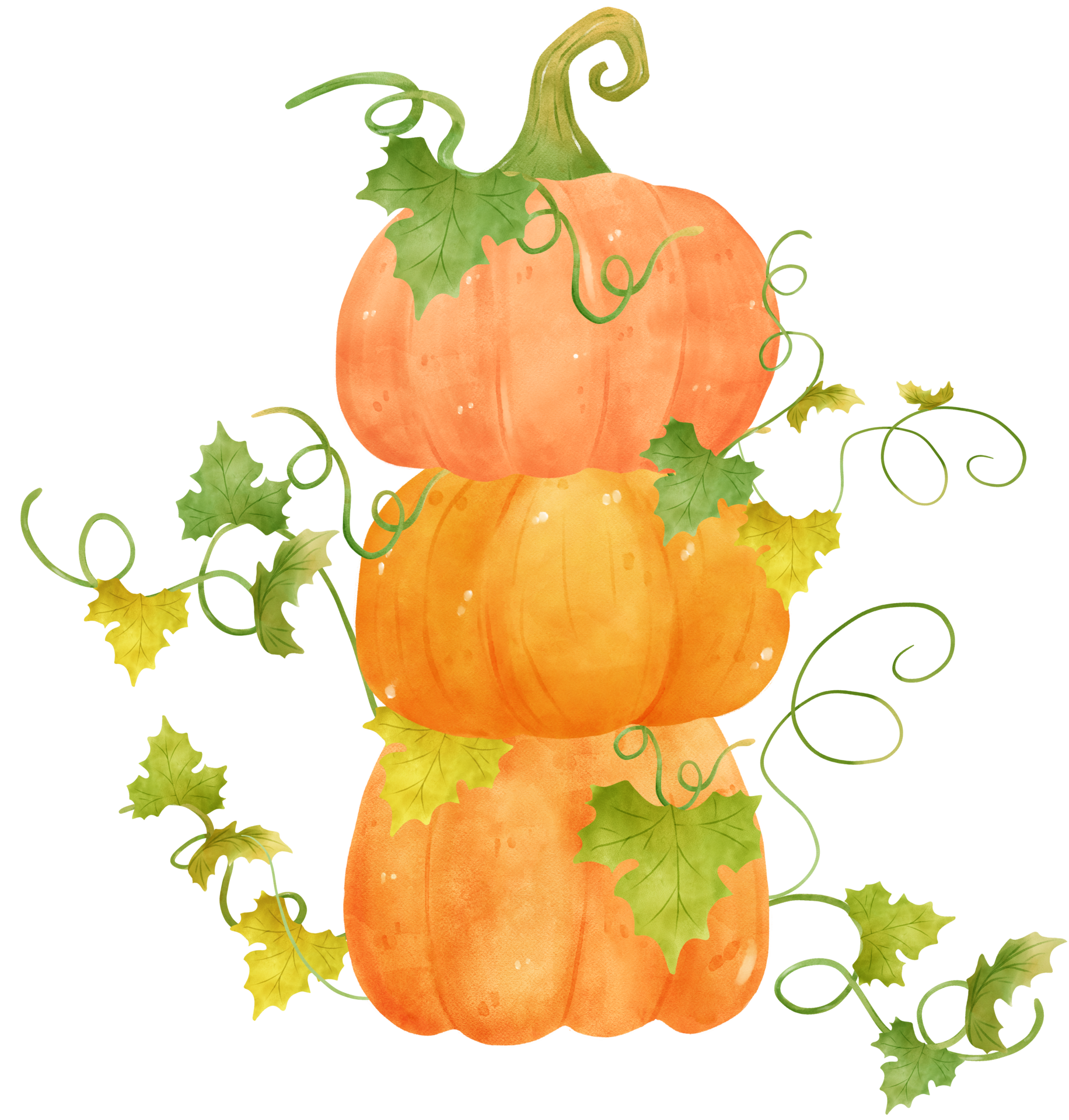 cute watercolor Halloween autumn pumpkins with face and vines cartoon hand  drawn 9392204 PNG