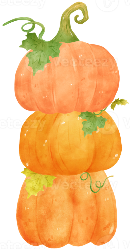 cute watercolor Halloween autumn pumpkins with face and vines cartoon hand drawn png