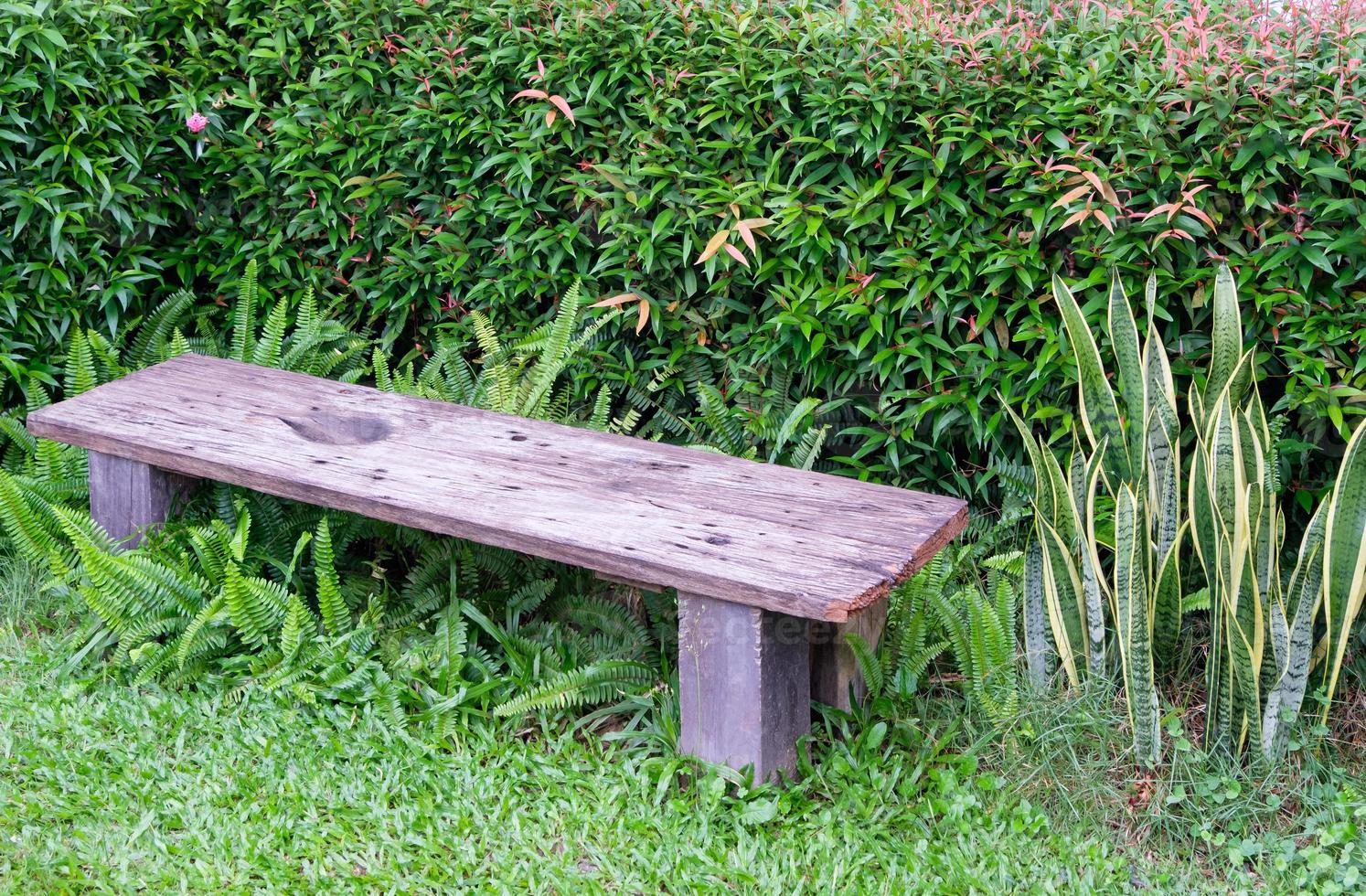 Small wooden bench in the backyard garden. photo