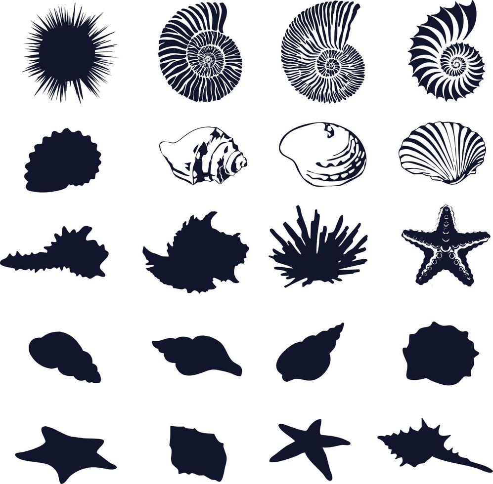 Set of sea shells silhouettes vector