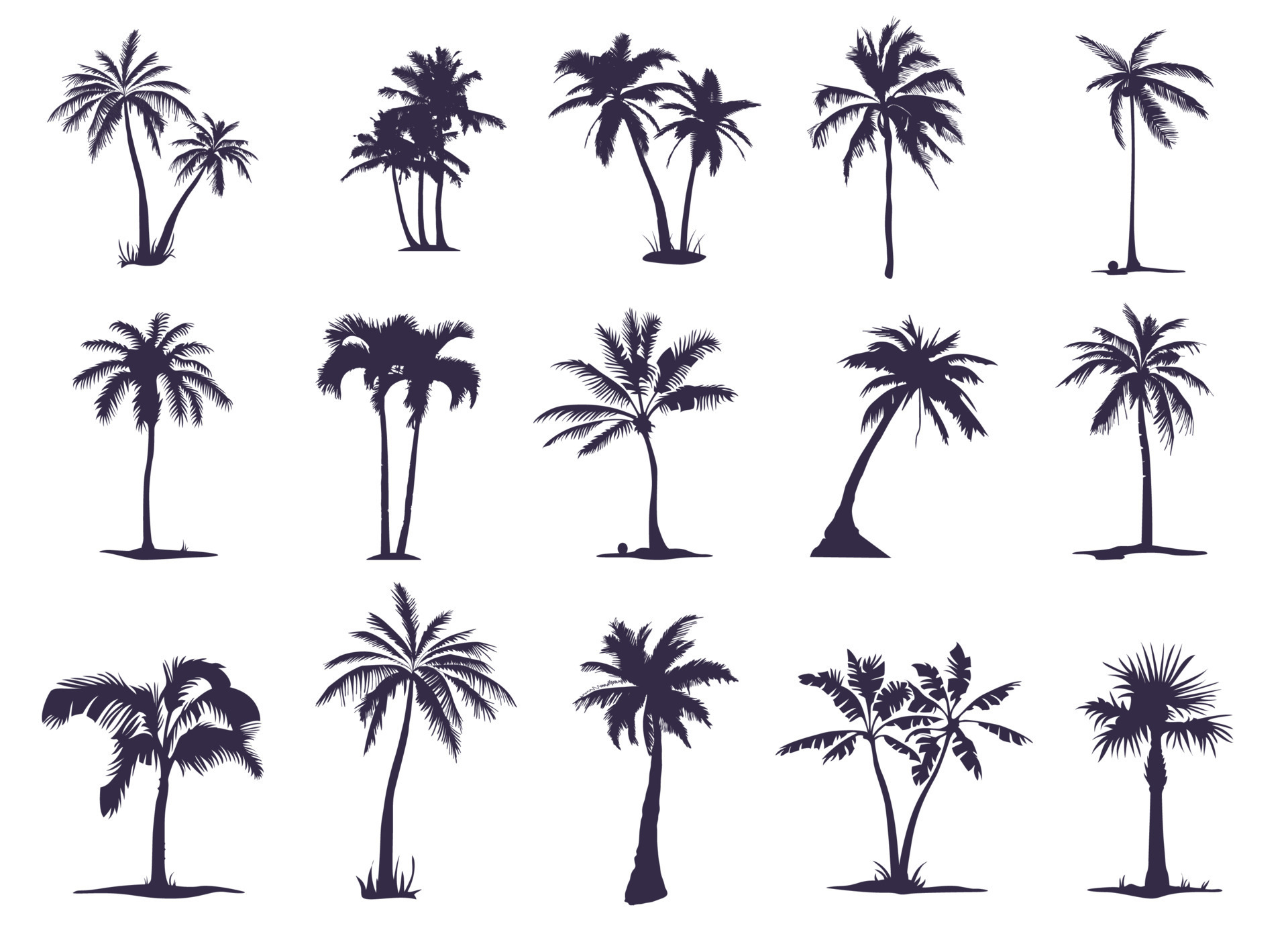 A large set of silhouettes of Palm trees. Palm tree silhouette for your needs and art 9392896