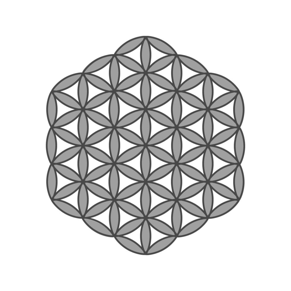 Symbol Flower of life. The flower of life is a symbol of sacred geometry and the universal forgotten language of the universe. vector