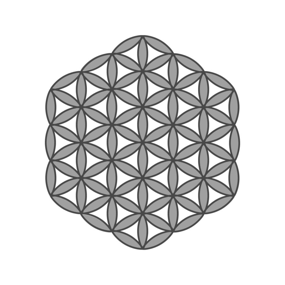 Symbol Flower of life. The flower of life is a symbol of sacred geometry and the universal forgotten language of the universe. vector