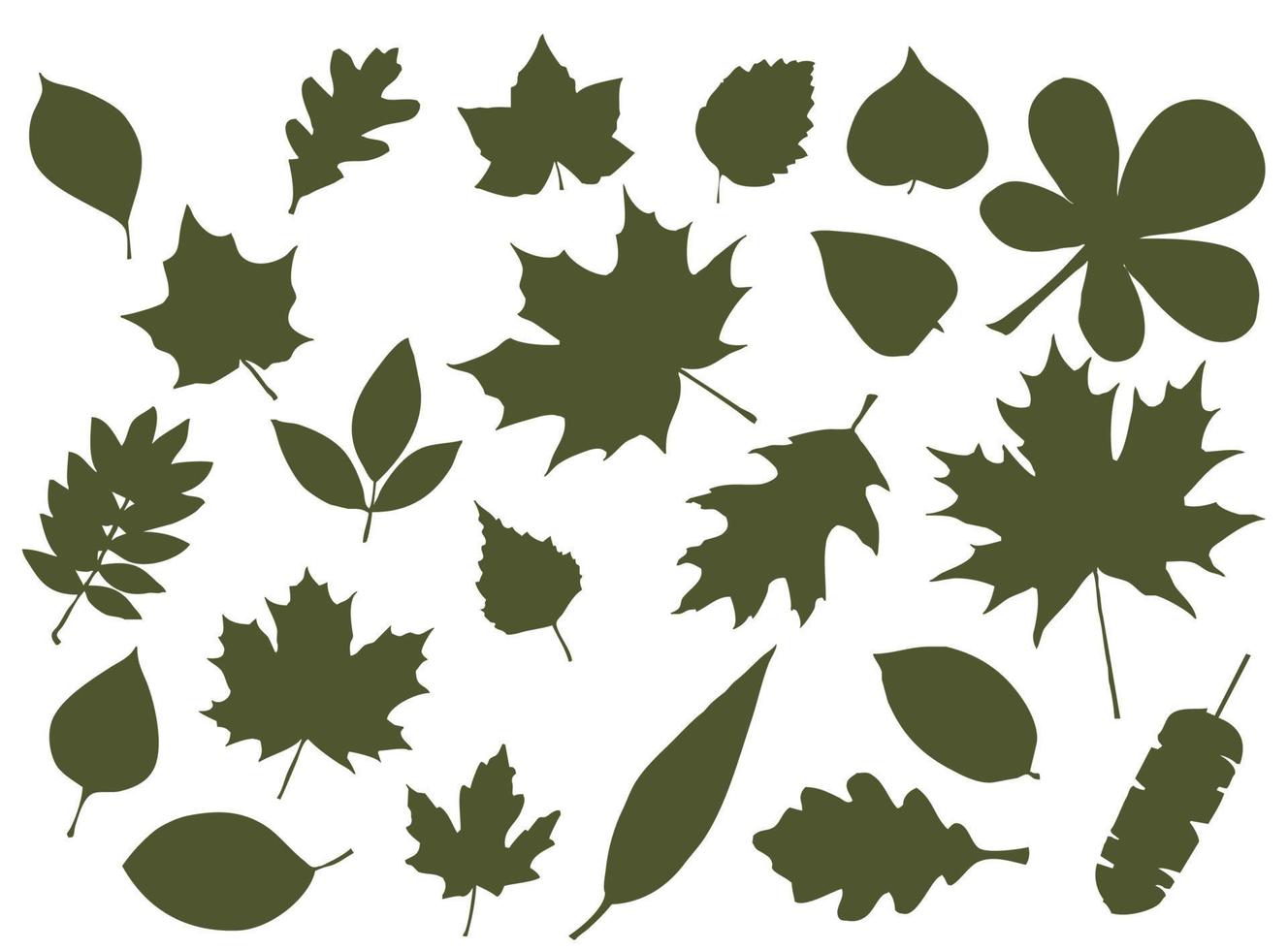 conjunto de siluetas de hojas. hojas de árboles de bosque caducifolio vector