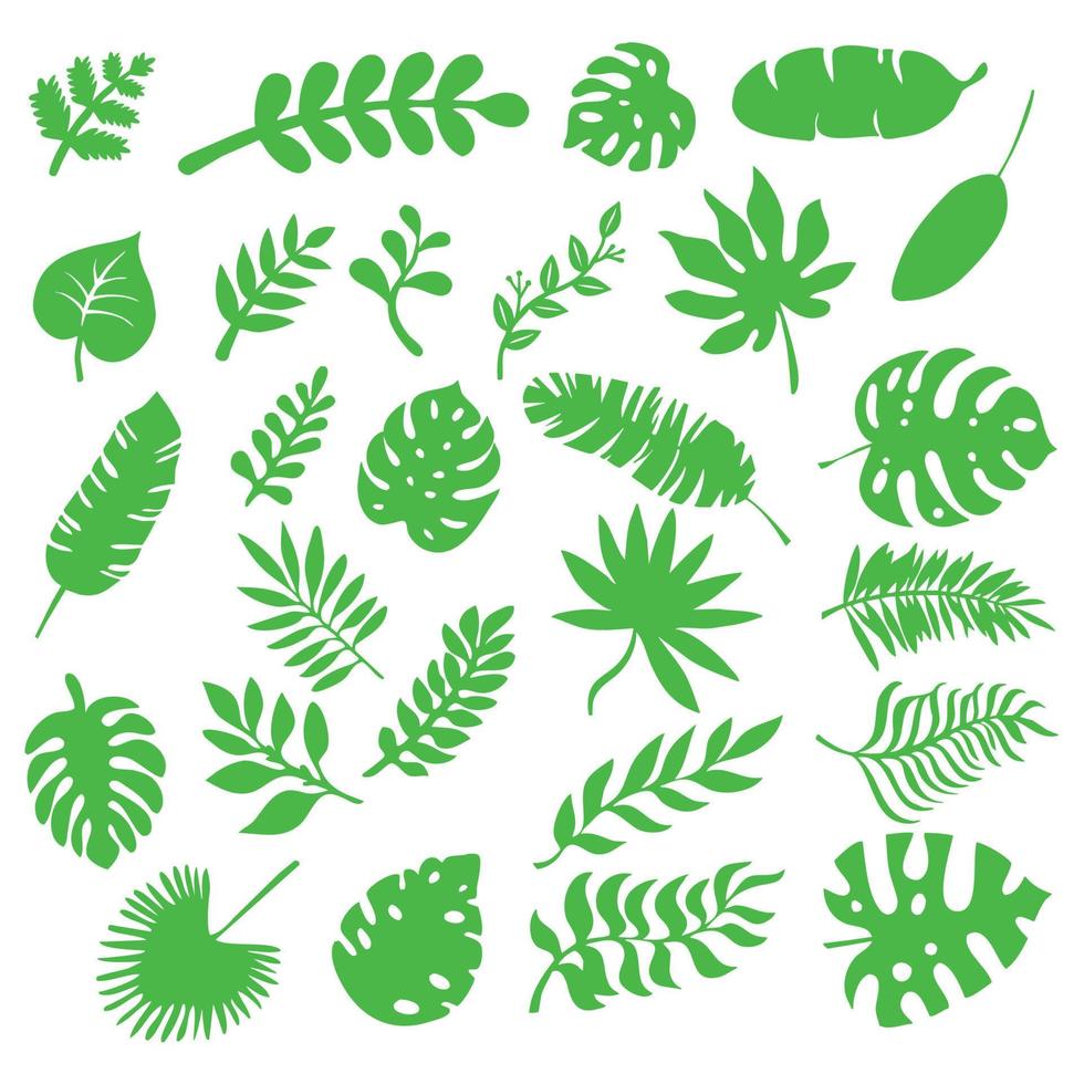 Set of leaves of different tropical and European trees and plants. vector