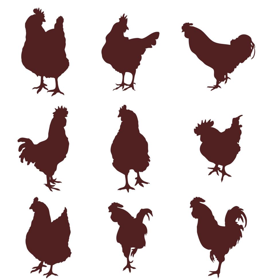 conjunto de siluetas de una gallina, un gallo y pollitos vector