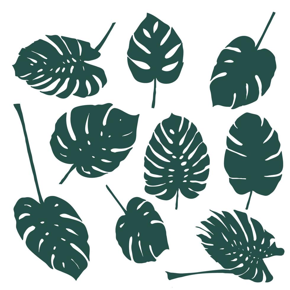 Set of monstera leaves silhouettes vector