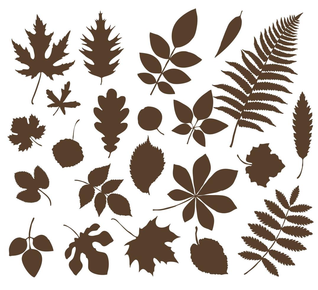 A set of leaves and blades of grass. Leaves of deciduous forest trees vector