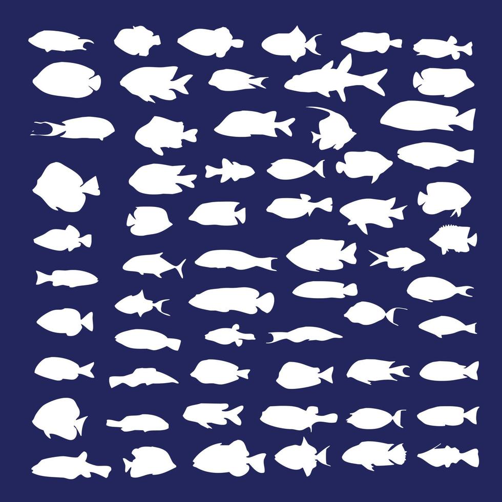 A large set of non-predatory fish. School of fish vector