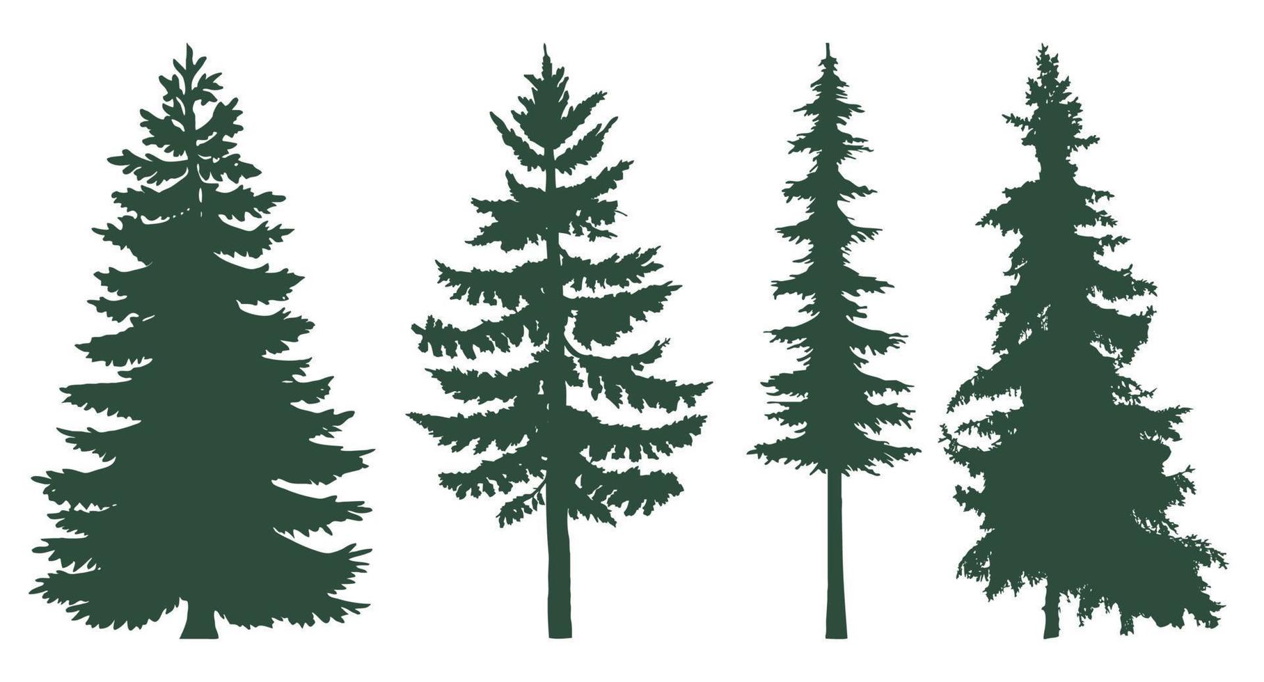 conjunto de árboles coníferos. el bosque está lleno de árboles coníferos vector