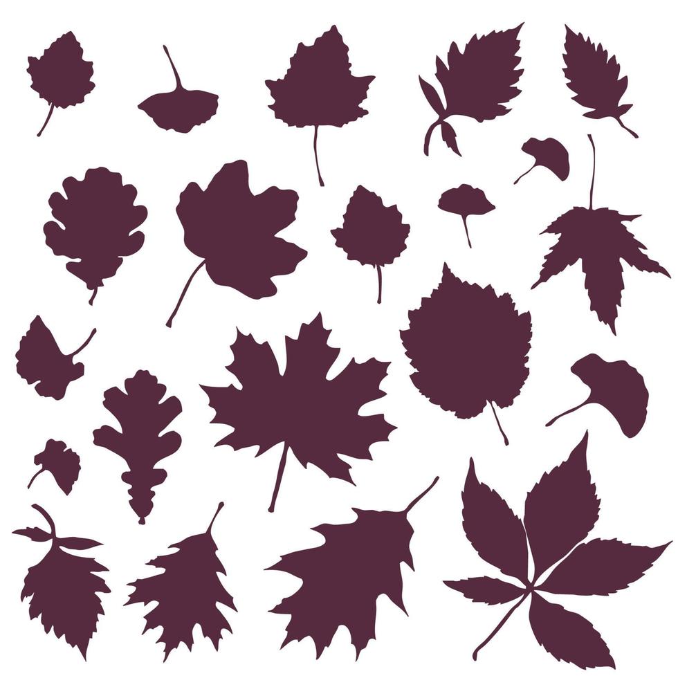 Set of leaf silhouettes. Leaves of deciduous forest trees vector