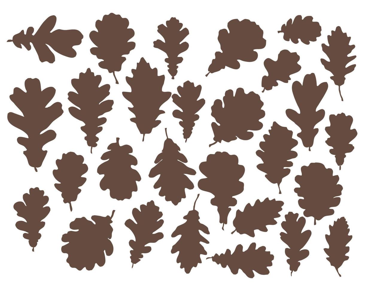 conjunto de siluetas de hojas de roble. hojas de roble de varias formas vector