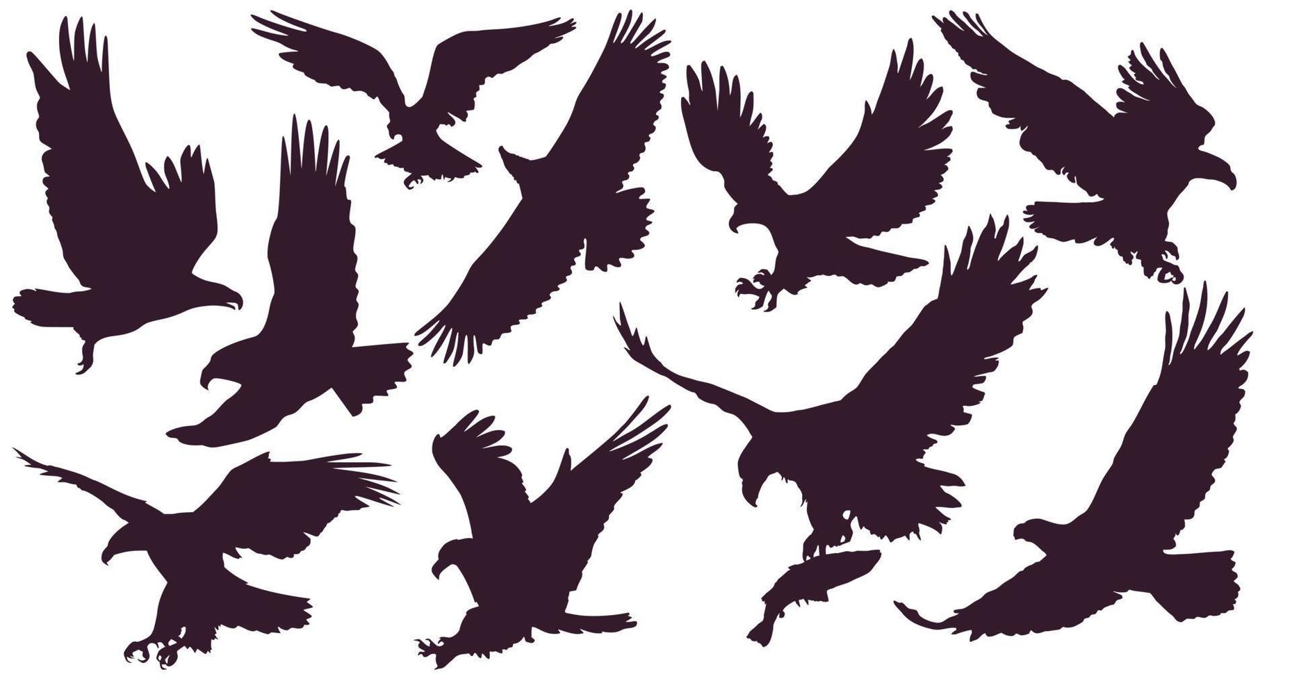 águilas conjunto de pájaro rey. 10 siluetas de águilas. un águila atacante volando en el cielo con una gran envergadura. vector