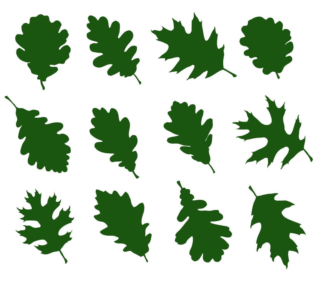 Set of leaf silhouettes of deciduous trees vector