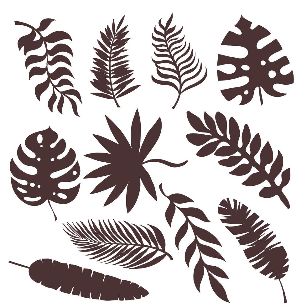 Set of silhouettes of palm leaves and other leaves of exotic trees vector