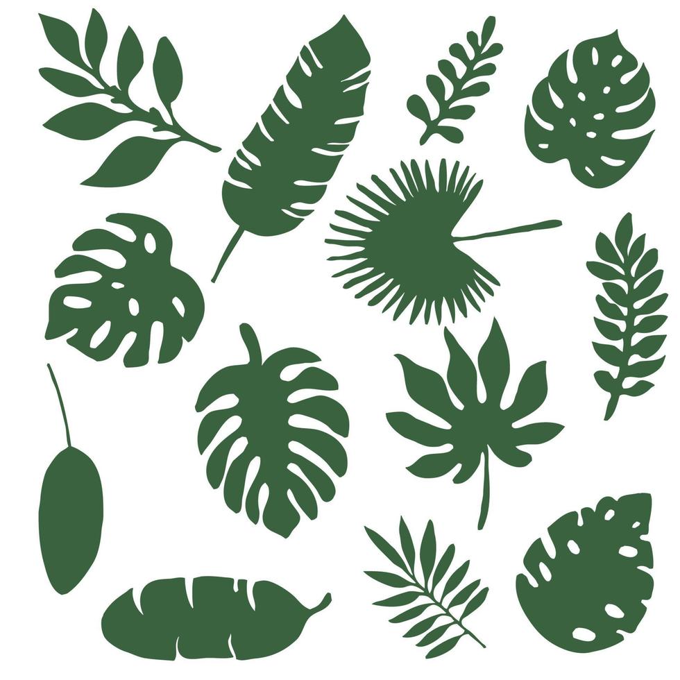Set of tropical foliage silhouettes, 13 pieces. vector