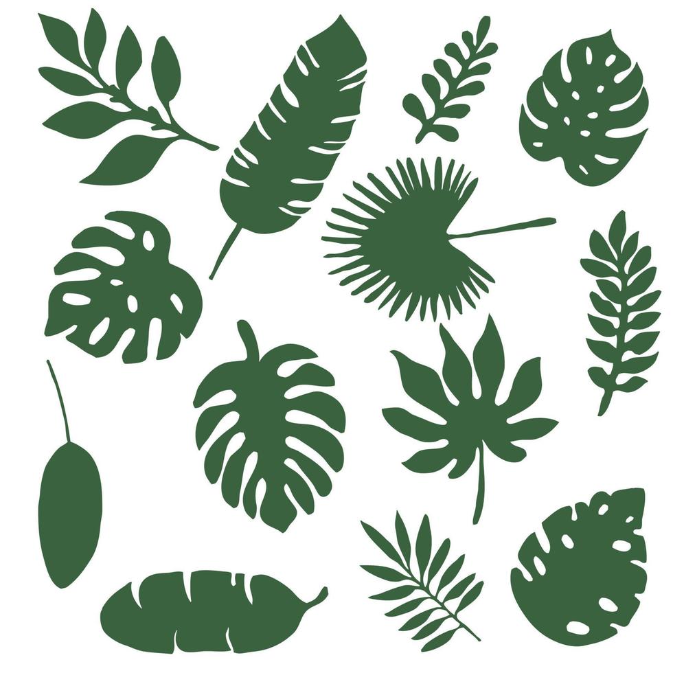 conjunto de siluetas de follaje tropical, 13 piezas. vector