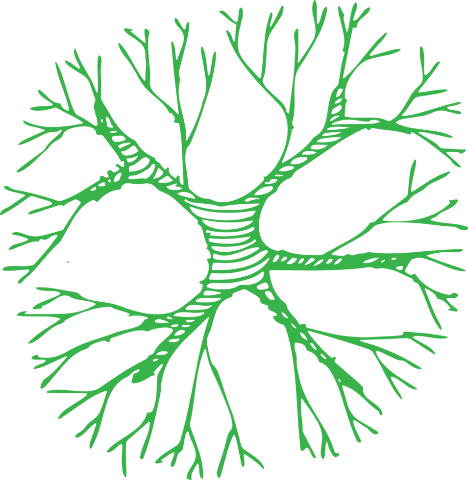 träd ikon tecken symbol design png