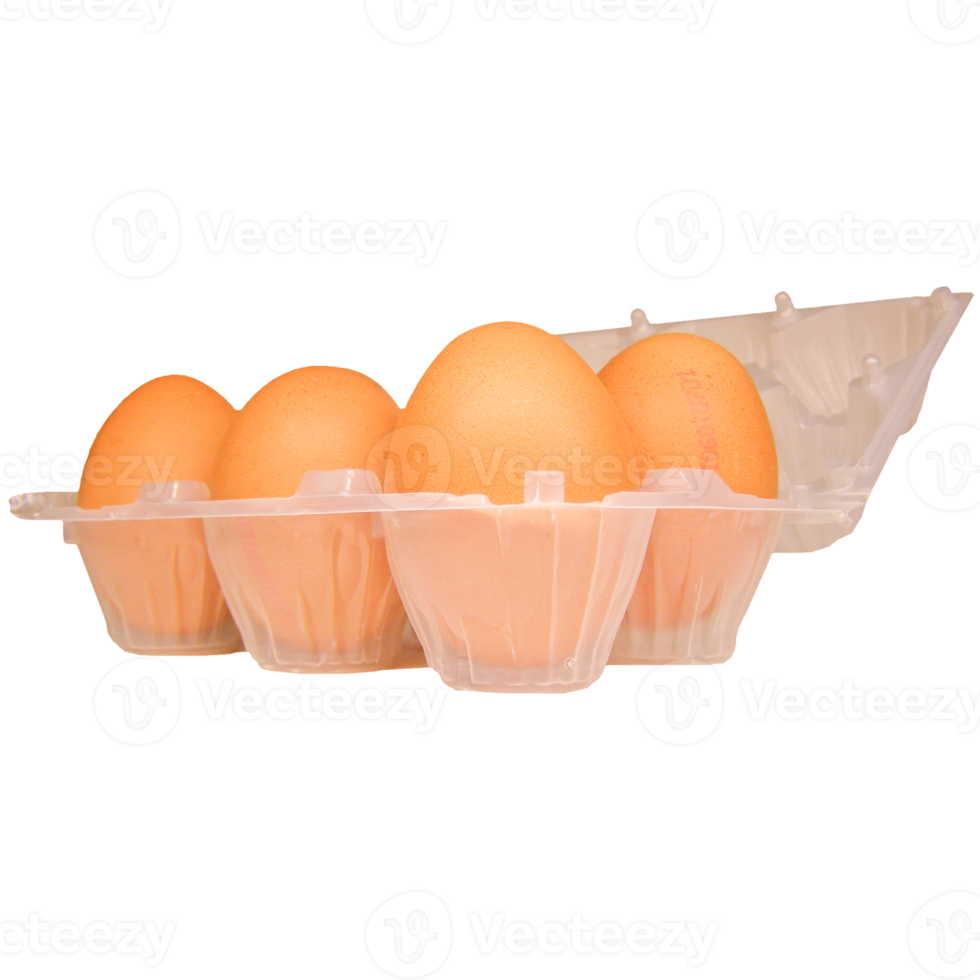 egg carton transparent PNG