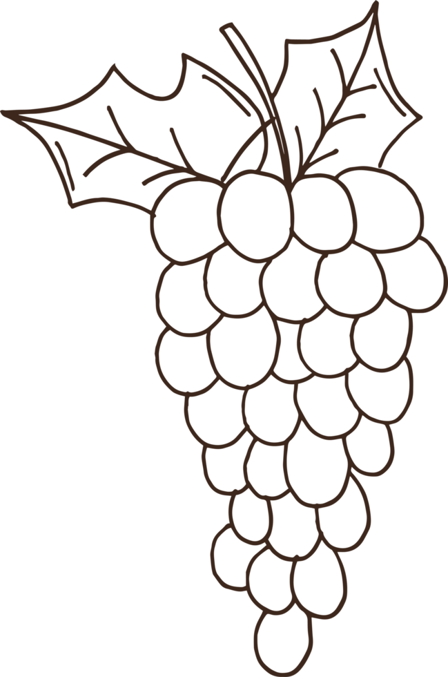 illustrazione di progettazione di clipart di frutta disegnata a mano png