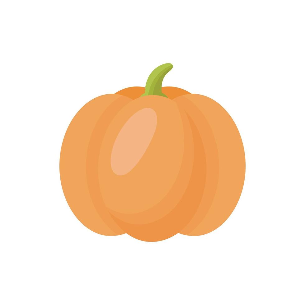 calabaza. ilustración vectorial en estilo de dibujos animados. Aislado en un fondo blanco. vector