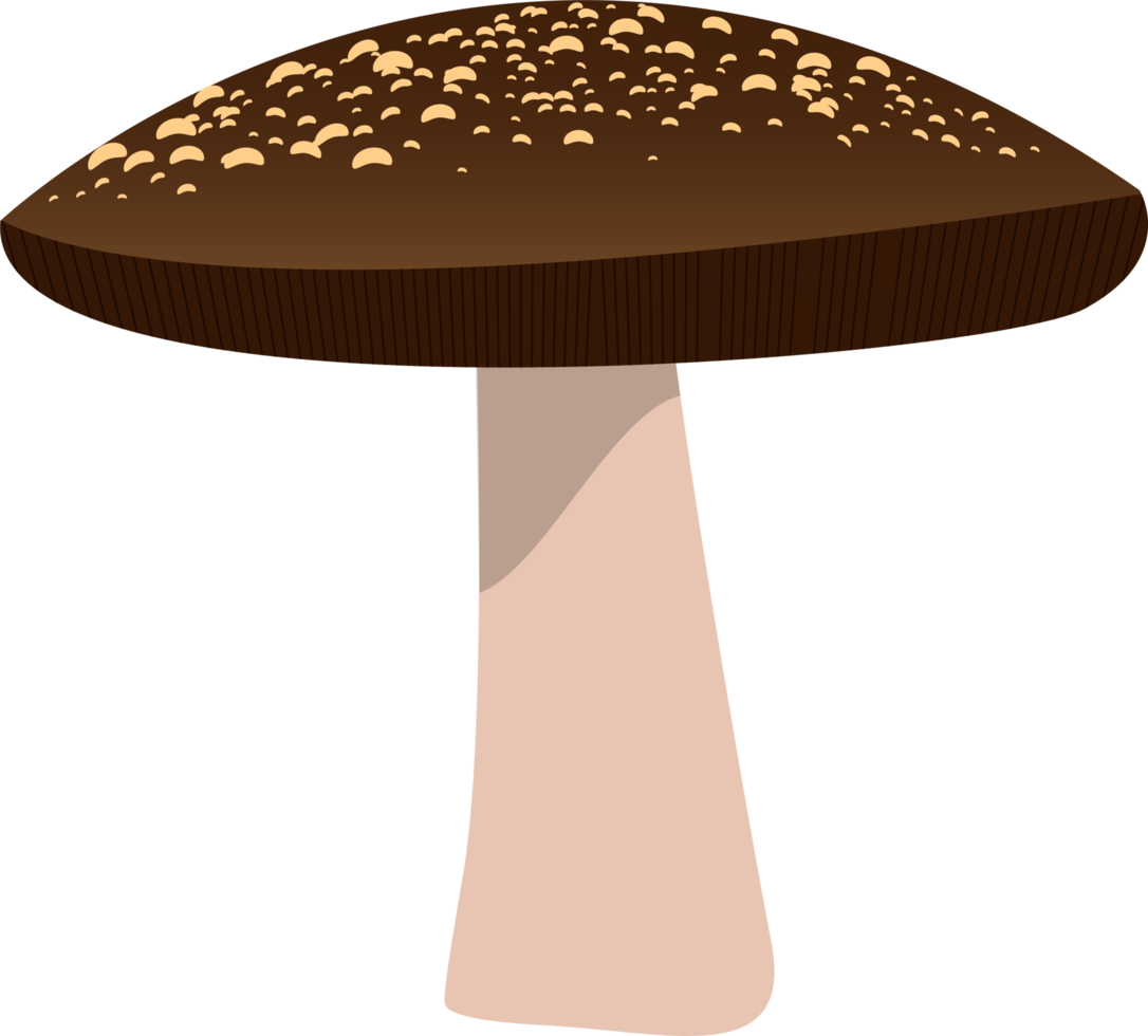 Mushroom clipart design illustration png