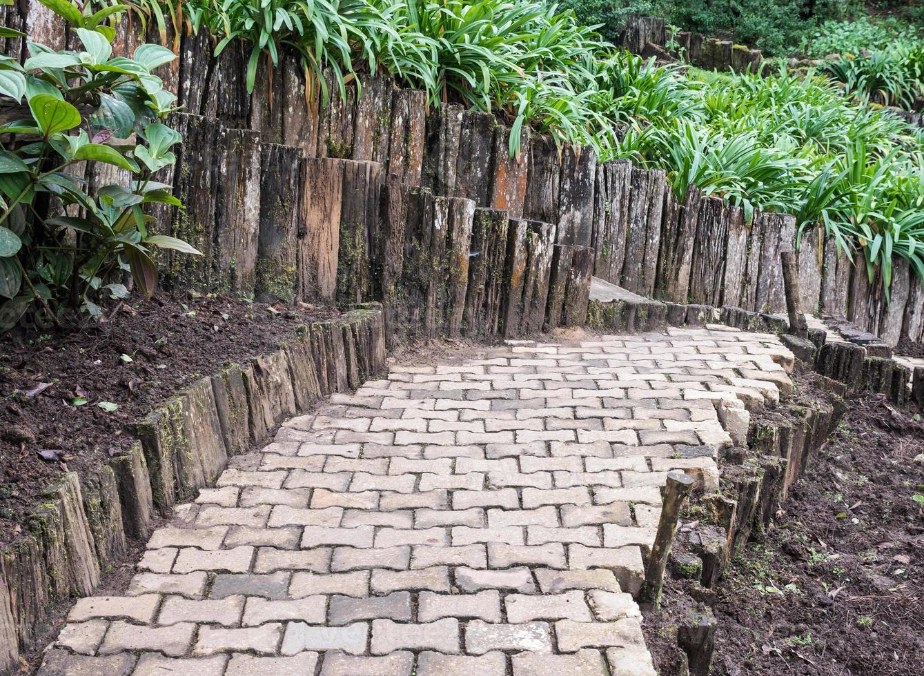 Curved brick pavement along the flower garden. photo