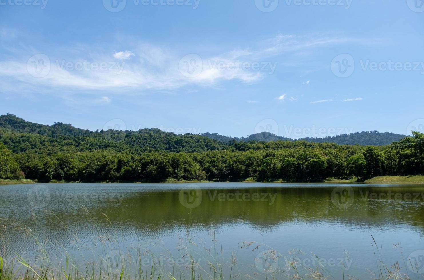 The small quiet lake of the reservoir with the grass flower in the foreground. photo