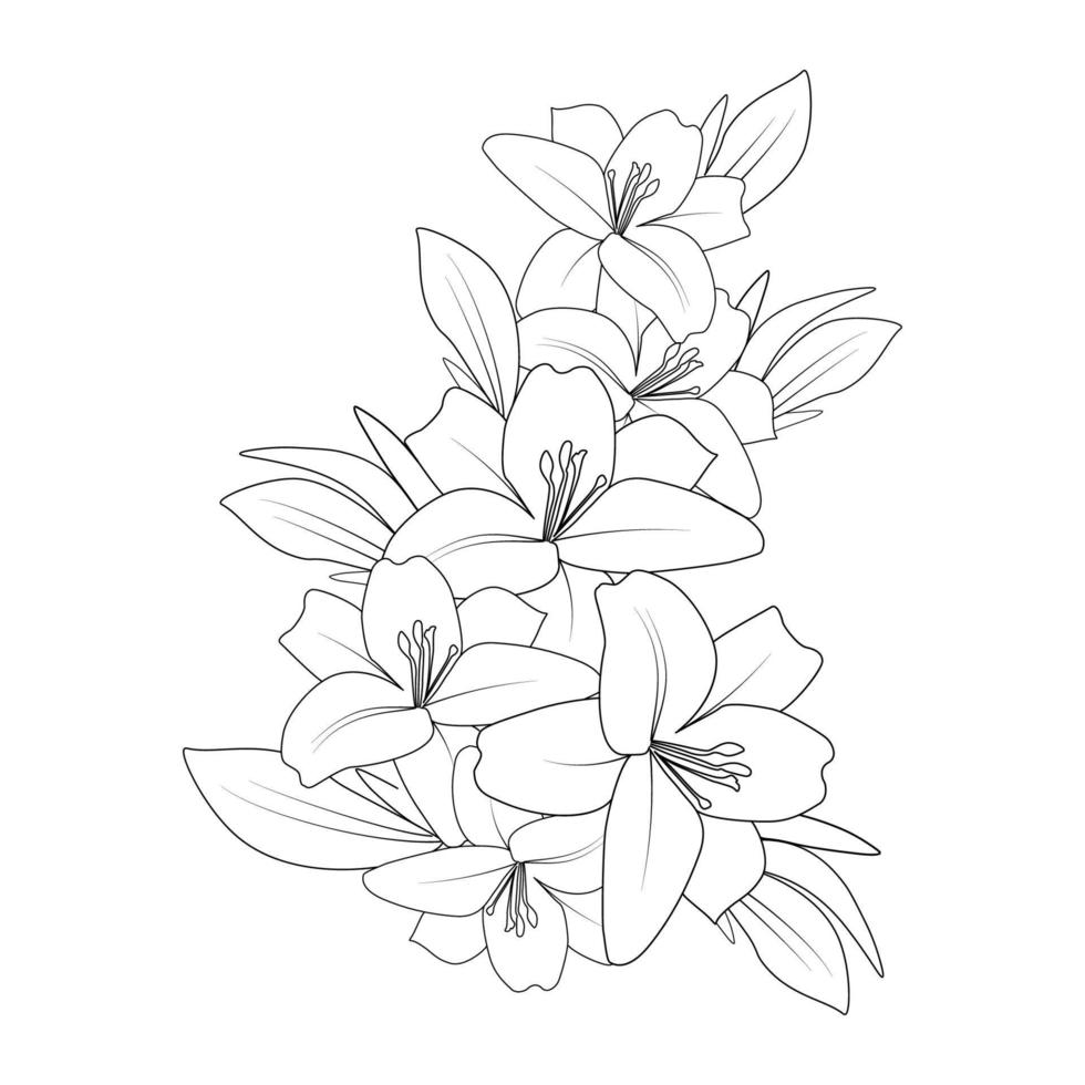 lily flower coloring page drawing with line art drawing for printing element vector