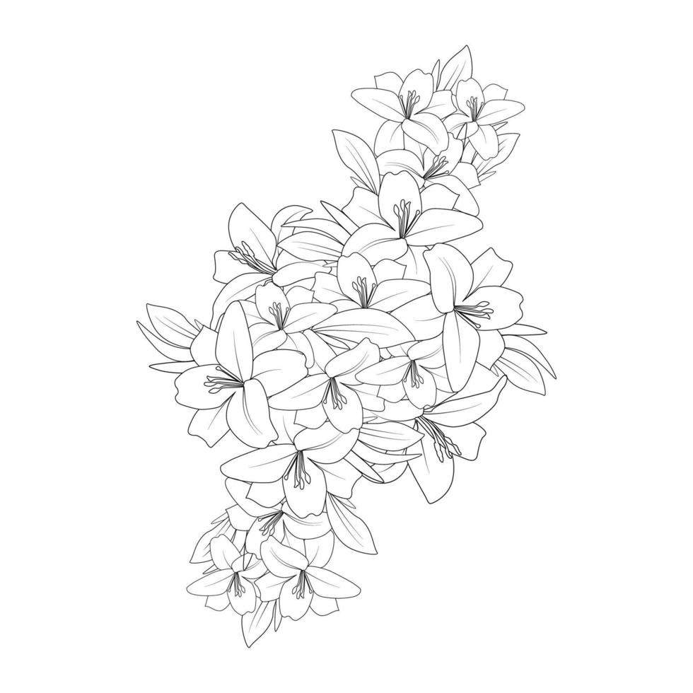 doodle lily flower coloring page drawing with line art drawing for printing element vector