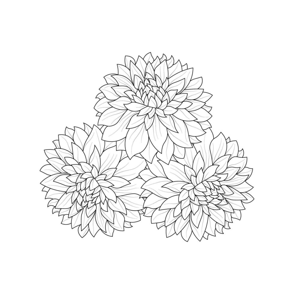 dahlia o dalia flor página para colorear de ilustraciones vectoriales en boceto dibujado a mano estilo garabato arte lineal vector