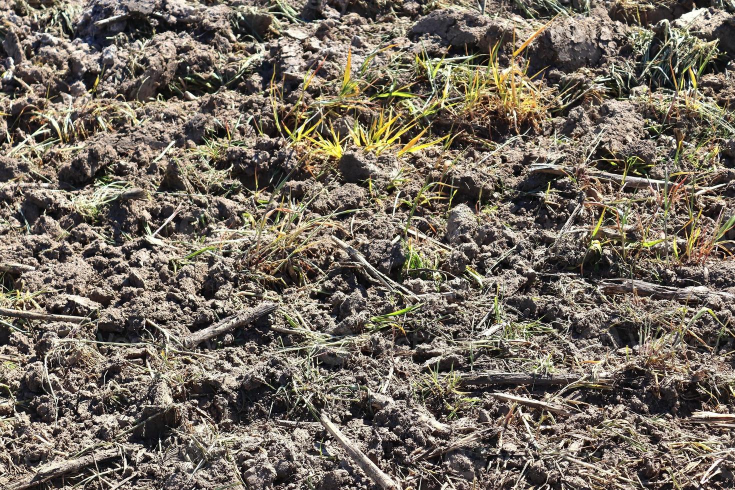 Detailed close up view on agricultural grounds and acre in high resolution photo