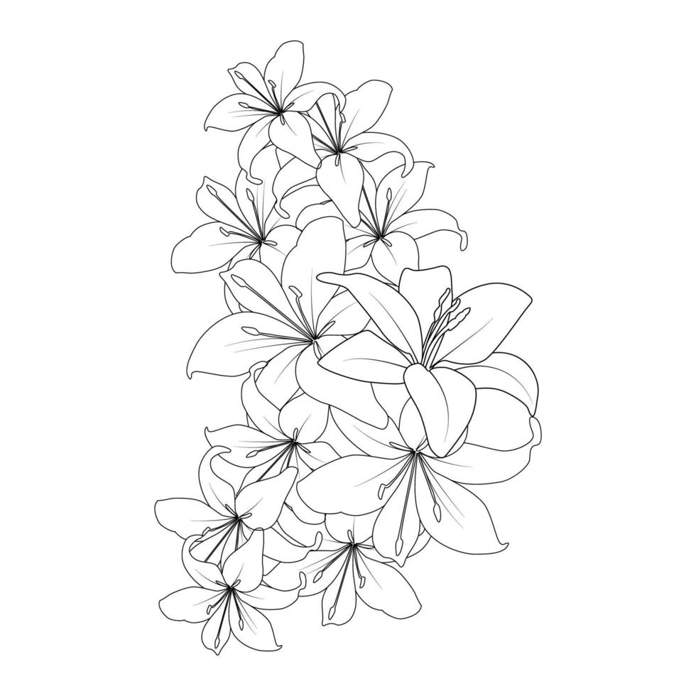 doodle lily flower coloring page drawing with line art drawing for printing element vector